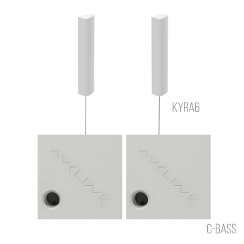Трансляционные комплекты AVCLINK BUSINESS/WD 90325 Трансляционные комплекты AVCLINK BUSINESS/WD 90325